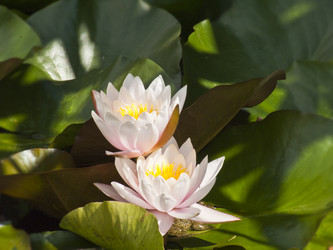 Similar image 2429886