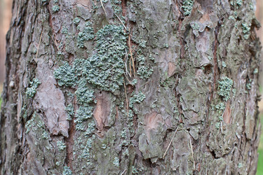 Similar image 2429889