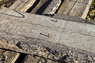 Similar image 2429892