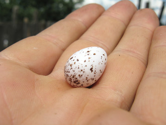 Similar image 2431138