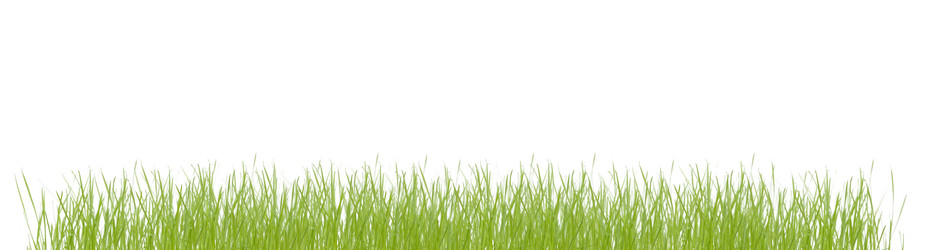 Similar image 2431319