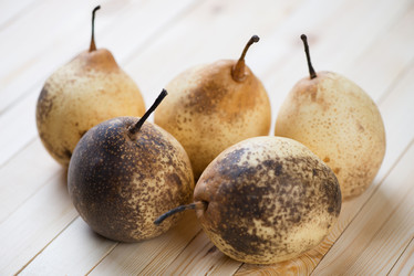 Similar image 2431499