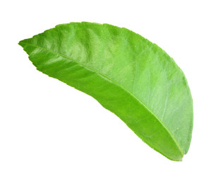 Similar image 2433287