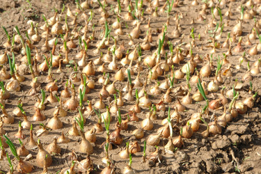 Similar image 2434038