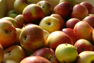 Similar image 2434209