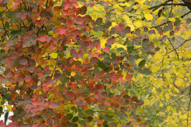 Similar image 2434959