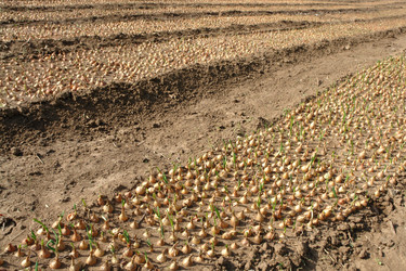 Similar image 2434964