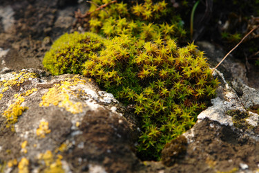 Similar image 2434967