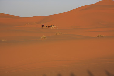 Similar image 2435006