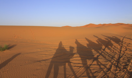 Similar image 2435007