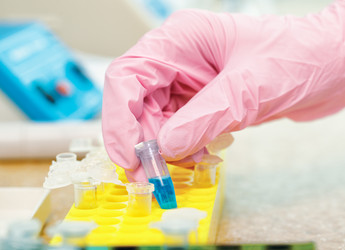 Similar image 2436350