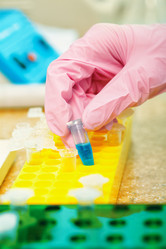 Similar image 2436364