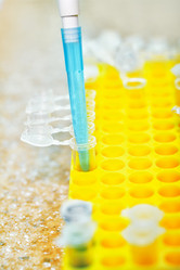 Similar image 2436384