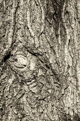 Similar image 2436518