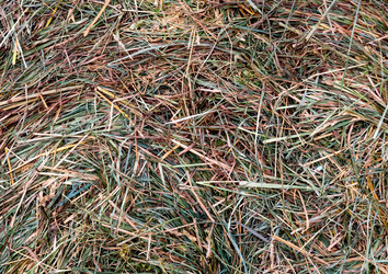 Similar image 2436526