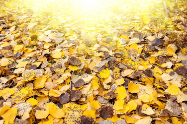 Similar image 2436528