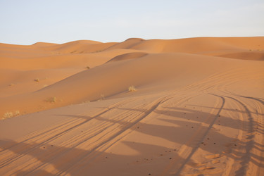 Similar image 2437431