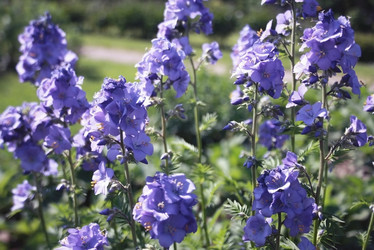 Similar image 2437451