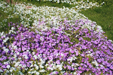 Similar image 2437633