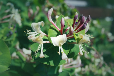 Similar image 2437639