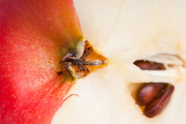 Similar image 2437668