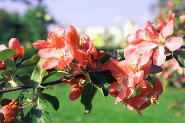 Similar image 2437723