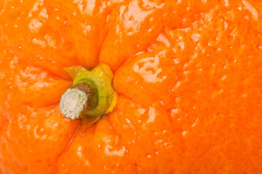 Similar image 2437739