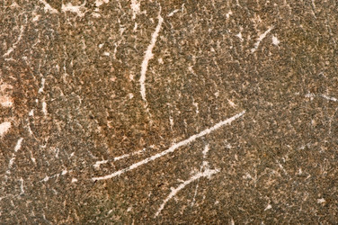 Similar image 2437920