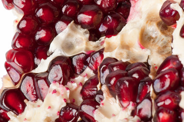 Similar image 2438056