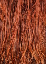 Similar image 2438841