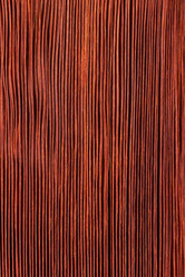 Similar image 2438849