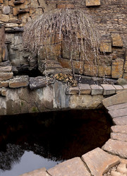 Similar image 2443874