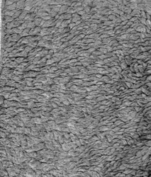 Similar image 2445788