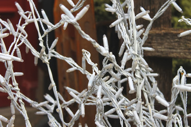 Similar image 2445800