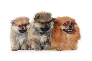 Similar image 2446755