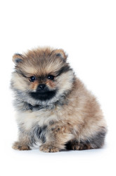 Similar image 2446759