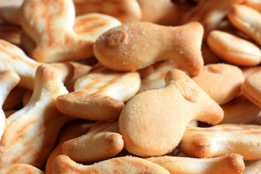 Similar image 2446831