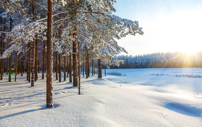 Similar image 2447002