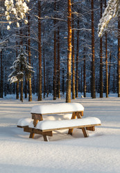 Similar image 2447003