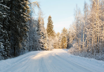 Similar image 2447055