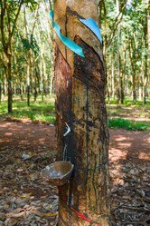 Similar image 2447062