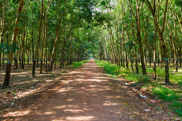 Similar image 2447063