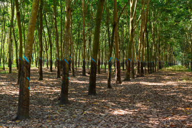 Similar image 2447066