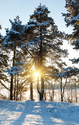 Similar image 2447076