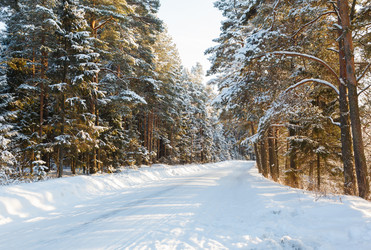 Similar image 2447077