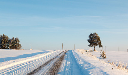 Similar image 2447079