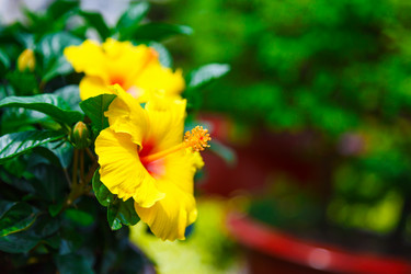 Similar image 2447137