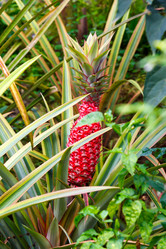 Similar image 2447138