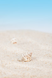 Similar image 2447205