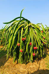 Similar image 2447362